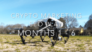 SEO Guide Months 1 - 6 infopic